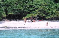 Close-up of Playa Manzanillo