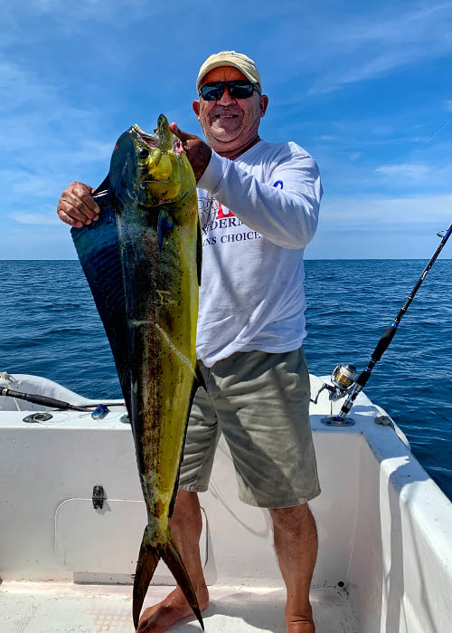 Dorado - click to enlarge Dorado