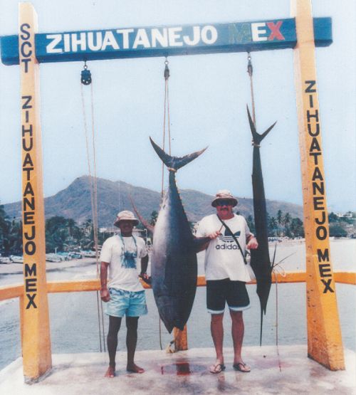 Tuna - click to enlarge Tuna