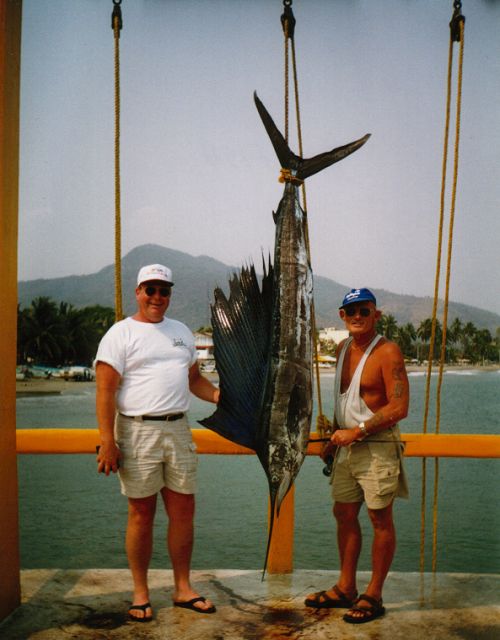 Sailfish - click to enlarge Sailfish